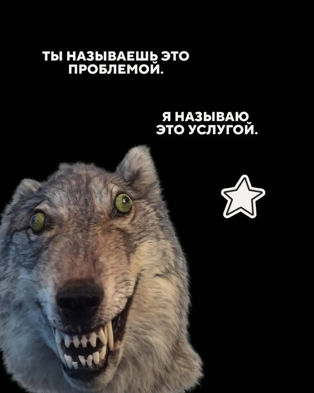 Господа, бизнесмены
Запоминаем 🤫 | Сетка — социальная сеть от hh.ru
