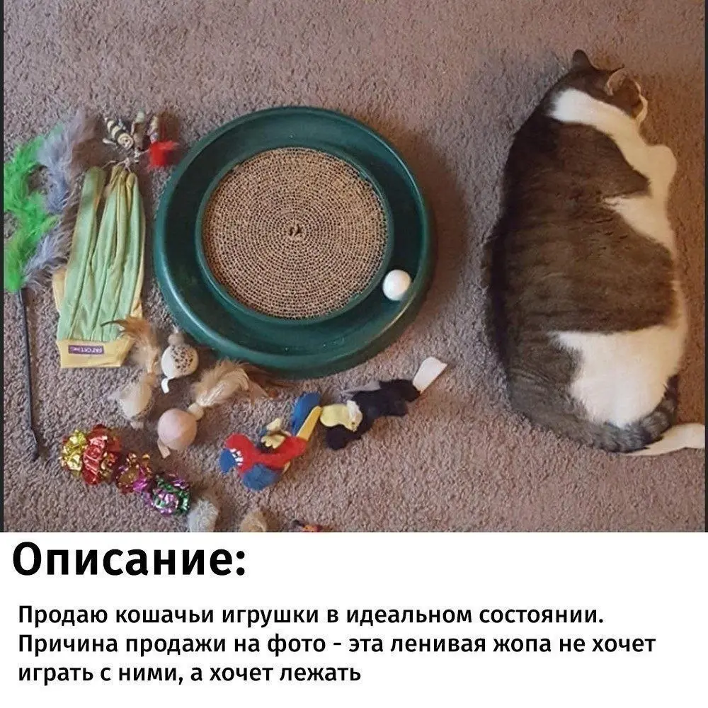 Затраты не оправдались 😂
БЛОГ В ТГ / БЛОГ В MAX
#Юмор #Коты
В этом посте были ссылки, но мы их удалили по правилам Сетки | Сетка — социальная сеть от hh.ru