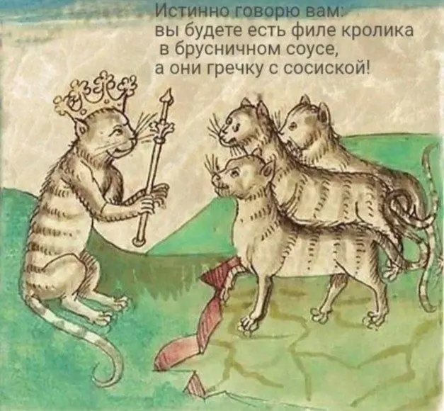 Покормите своего котика | Сетка — социальная сеть от hh.ru