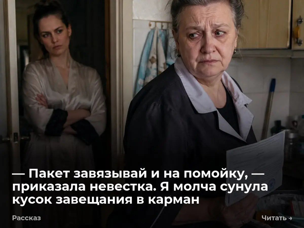 — Пакет завязывай и на помойку, — приказала невестка. Я молча сунула кусок завещания в карман
Я раздвинула влажные картофельные очистки и вытащила из мусорного ведра плотный кусок гербовой бумаги | Сетка — социальная сеть от hh.ru