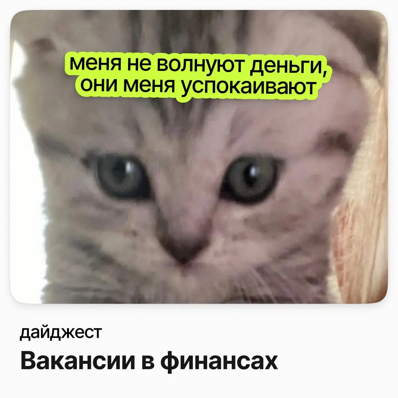 💼💼💼Вакансии в финансах
Ведущий экономист группы аналитики / Sminex
Зарплата: от 250 000 до 375 000 ₽ /на руки
Подробнее
Директор по внутреннему контролю и управлению рисками / Inventive Retail Group
З... | Сетка — социальная сеть от hh.ru