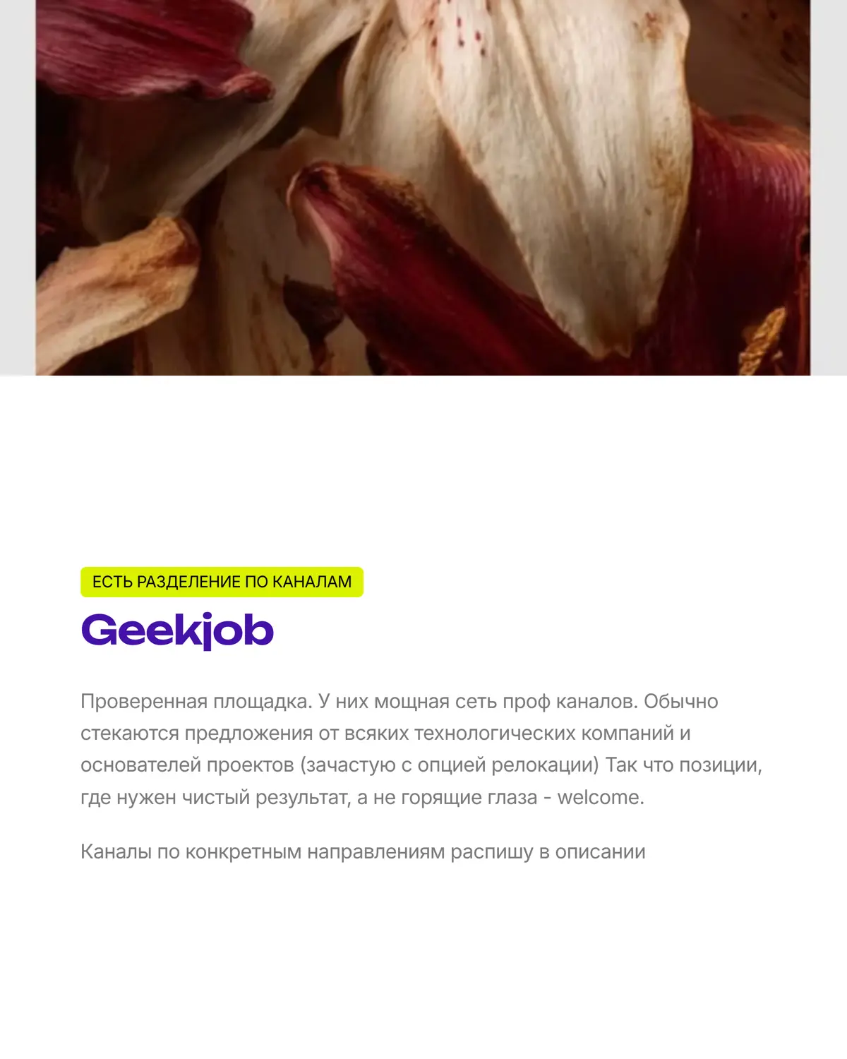 Как войти в 10% соискателей | Сетка — социальная сеть от hh.ru
