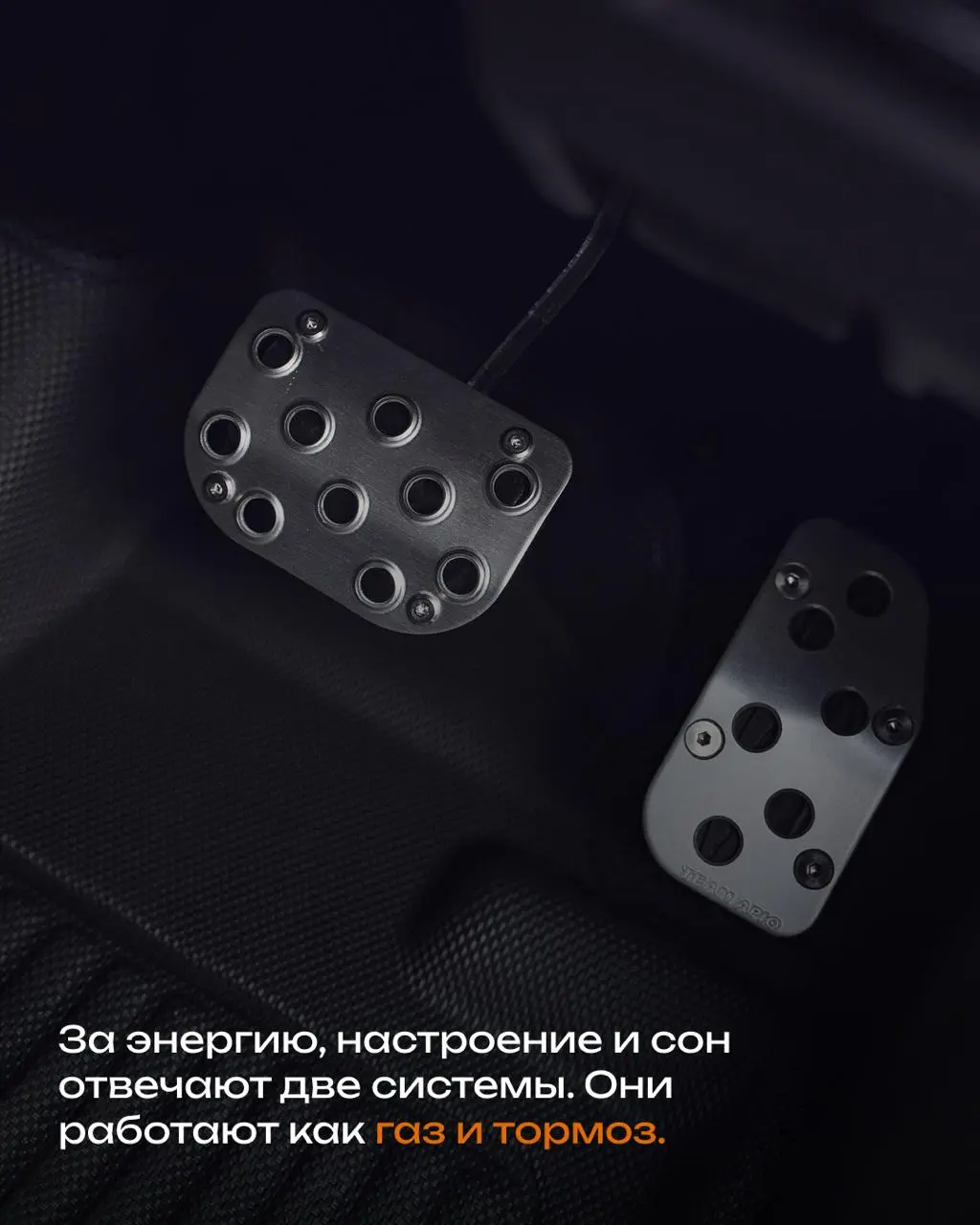Как работает наша нервная система и что делать в условиях вечного стресса, дедлайнов и чувства тревоги
🚀 Симпатическая система: Педаль газа
Если за вами гонится медведь — это реакция «бей или беги» | Сетка — социальная сеть от hh.ru