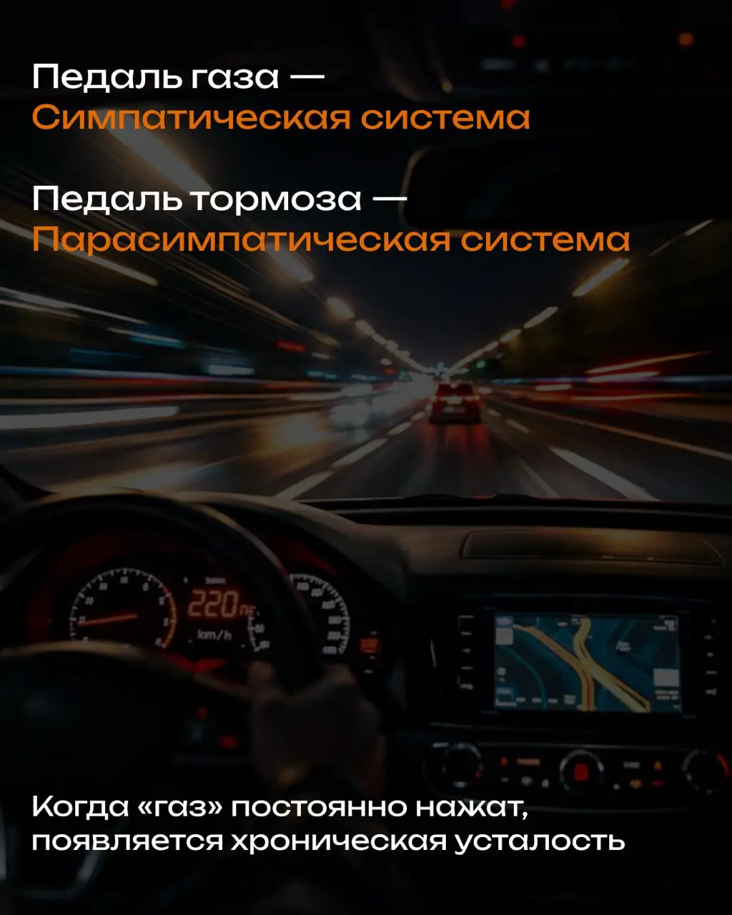 Как работает наша нервная система и что делать в условиях вечного стресса, дедлайнов и чувства тревоги
🚀 Симпатическая система: Педаль газа
Если за вами гонится медведь — это реакция «бей или беги» | Сетка — социальная сеть от hh.ru