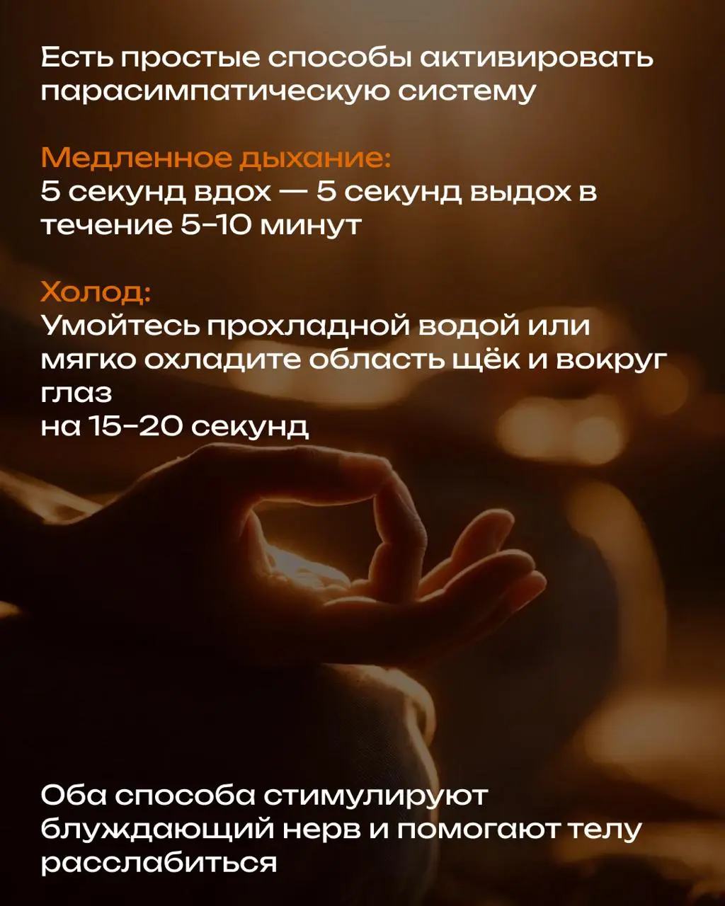 Как работает наша нервная система и что делать в условиях вечного стресса, дедлайнов и чувства тревоги
🚀 Симпатическая система: Педаль газа
Если за вами гонится медведь — это реакция «бей или беги» | Сетка — социальная сеть от hh.ru