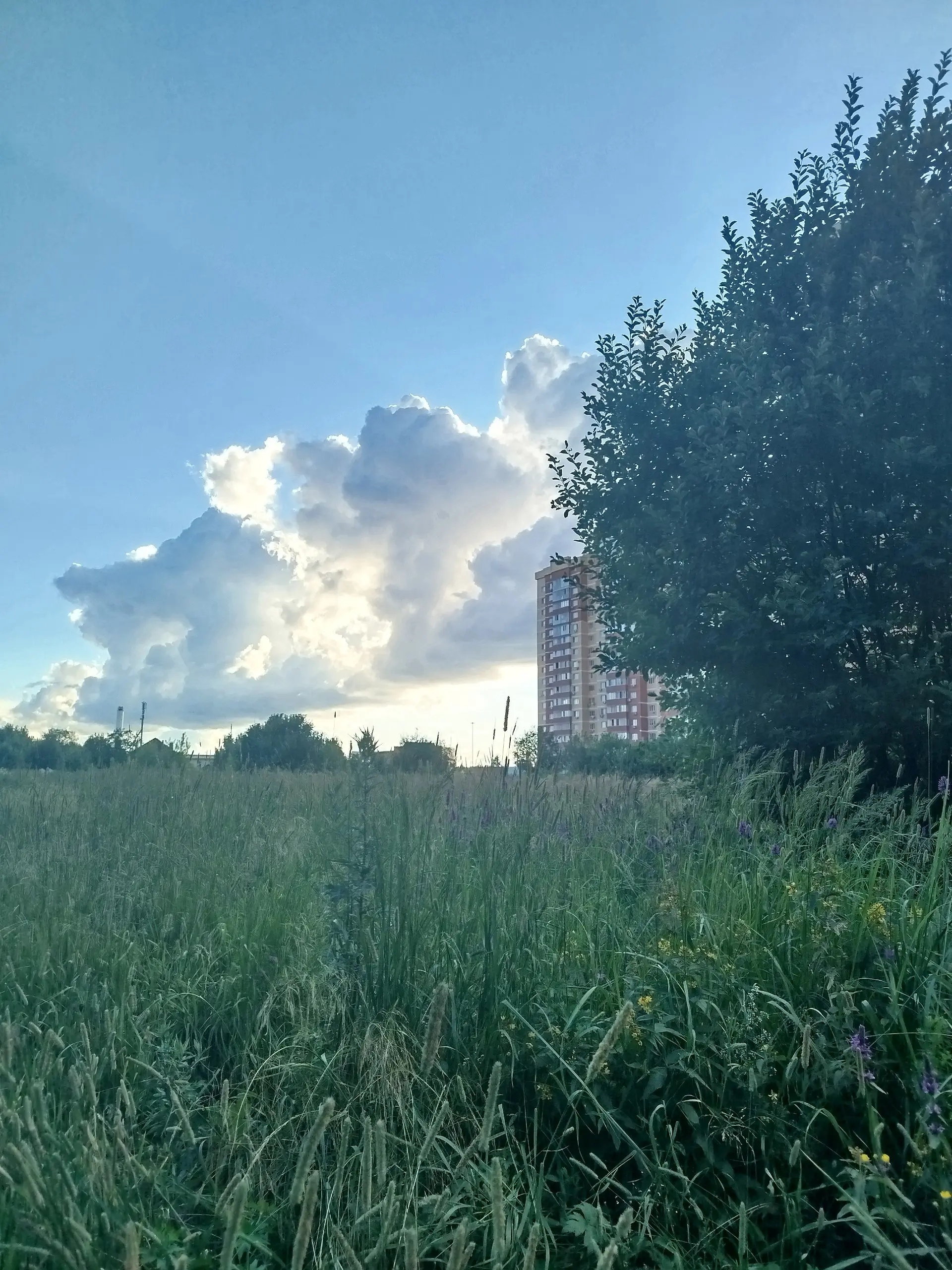 Только сейчас поняла, чем Москва отличается от Питера.
Был со мной случай, я специально надела футболку вывернутой, чтобы не было видно надписи и поехала по делам | Сетка — социальная сеть от hh.ru