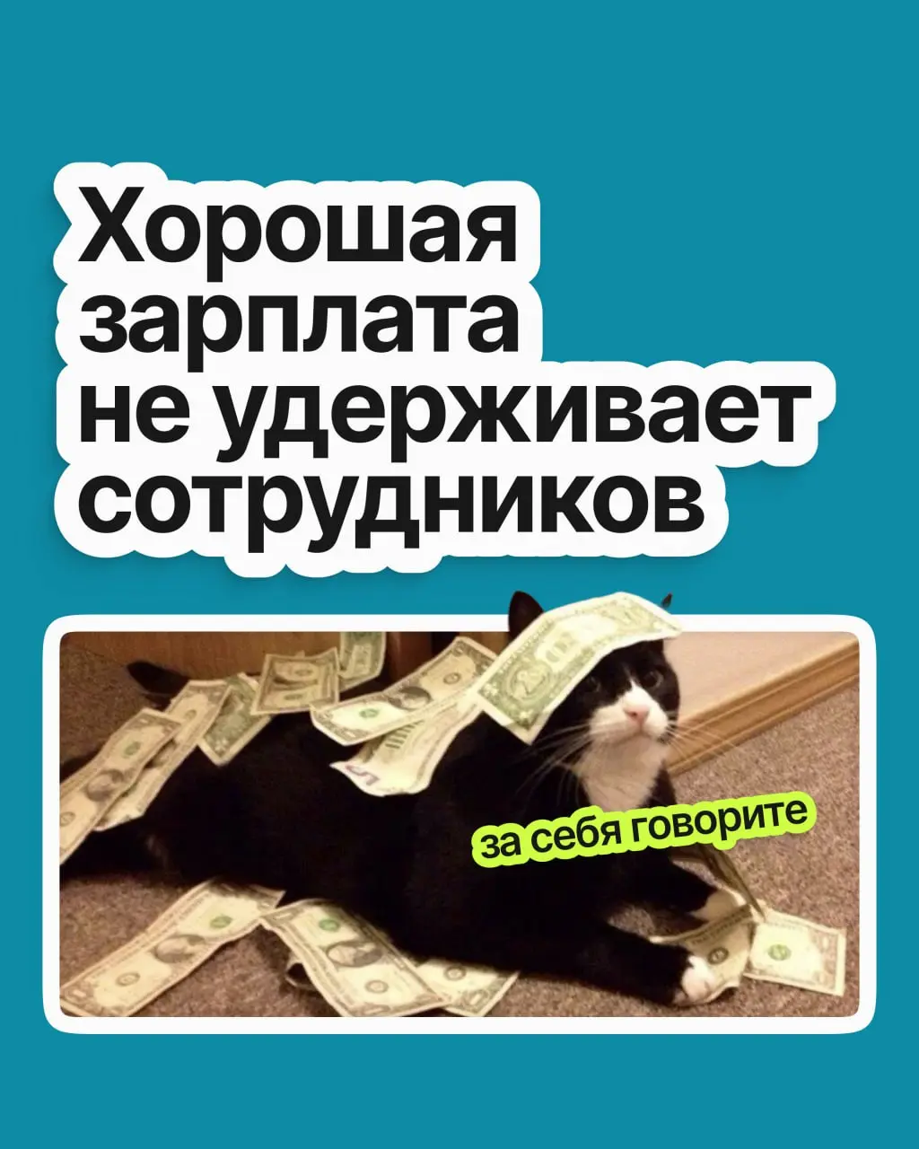 Оклад приличный, задачи знакомые, ещё и плюшек навалили. И вроде грех жаловаться, но по понедельникам всё труднее заставить себя открыть ноутбук | Сетка — социальная сеть от hh.ru