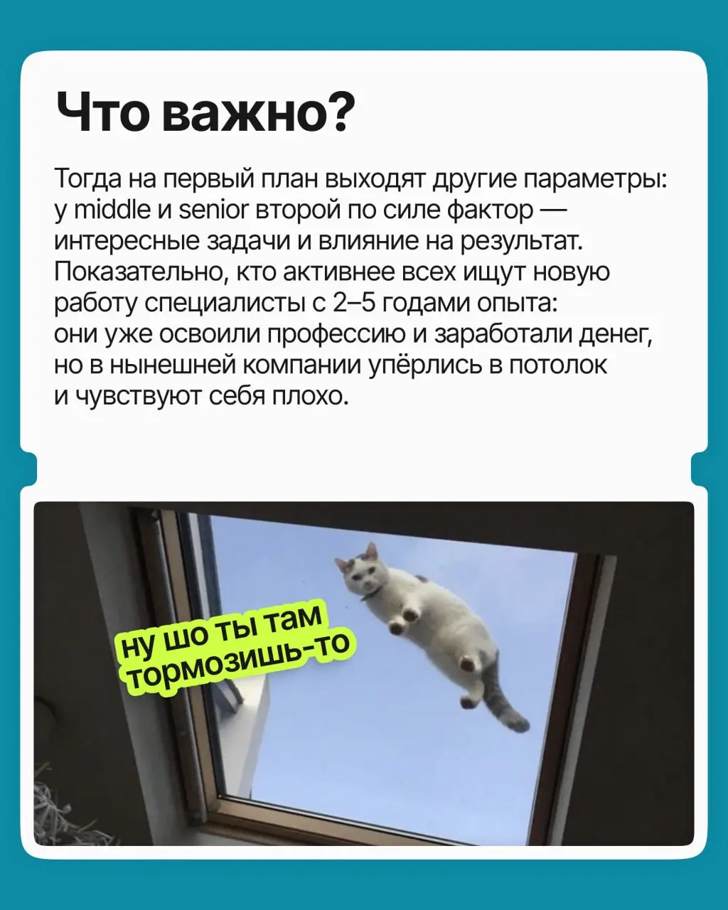 Оклад приличный, задачи знакомые, ещё и плюшек навалили. И вроде грех жаловаться, но по понедельникам всё труднее заставить себя открыть ноутбук | Сетка — социальная сеть от hh.ru