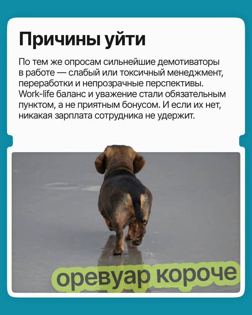 Оклад приличный, задачи знакомые, ещё и плюшек навалили. И вроде грех жаловаться, но по понедельникам всё труднее заставить себя открыть ноутбук | Сетка — социальная сеть от hh.ru