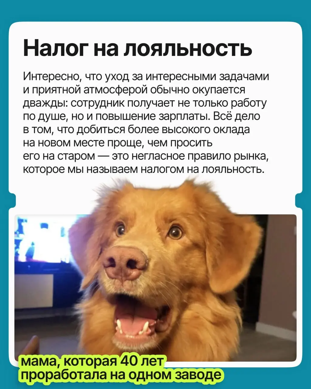 Оклад приличный, задачи знакомые, ещё и плюшек навалили. И вроде грех жаловаться, но по понедельникам всё труднее заставить себя открыть ноутбук | Сетка — социальная сеть от hh.ru