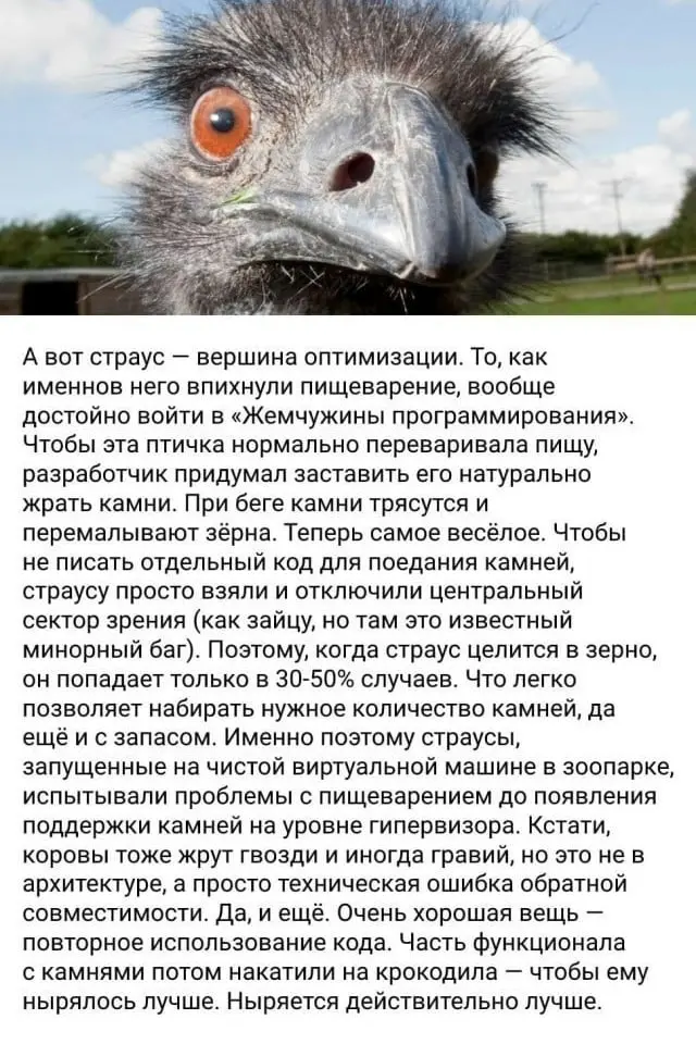 Подпишись — к повышению зарплаты 🌚 | Сетка — социальная сеть от hh.ru