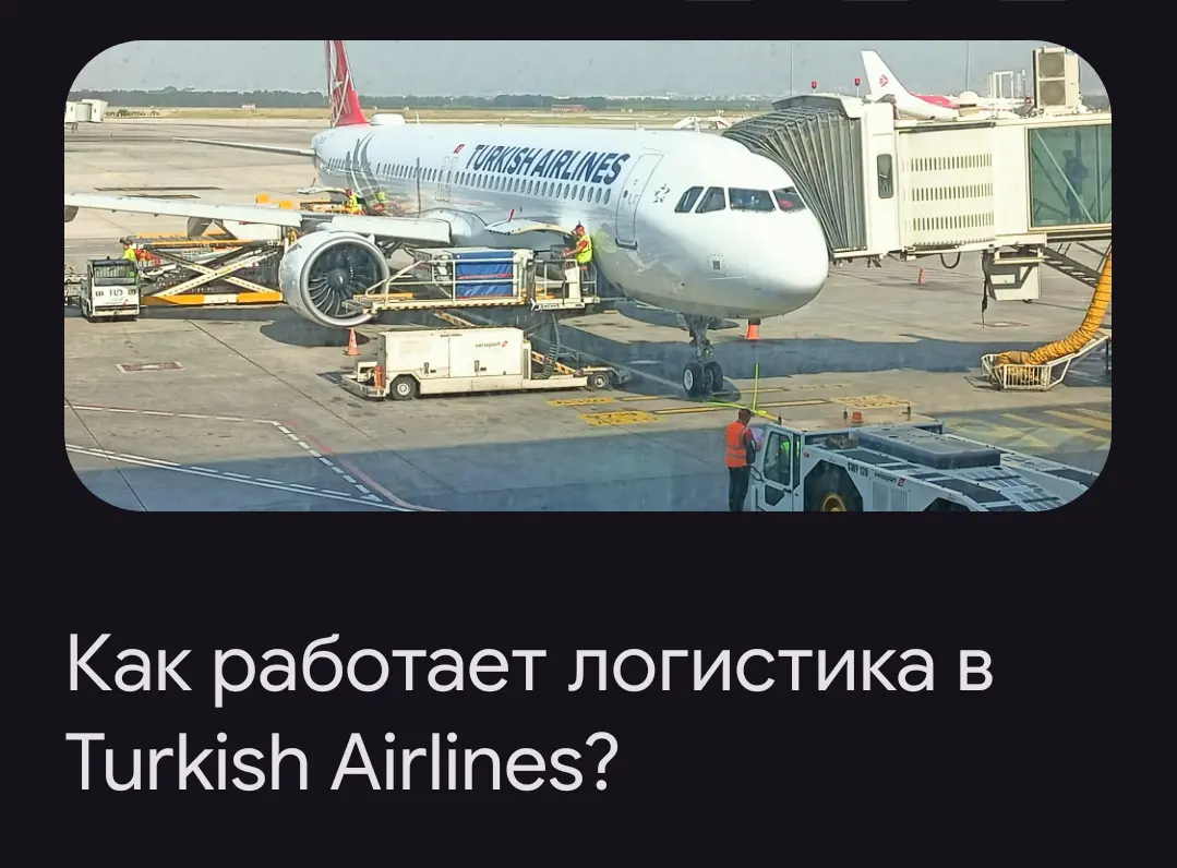 Turkish Airlines #логистика | Сетка — социальная сеть от hh.ru