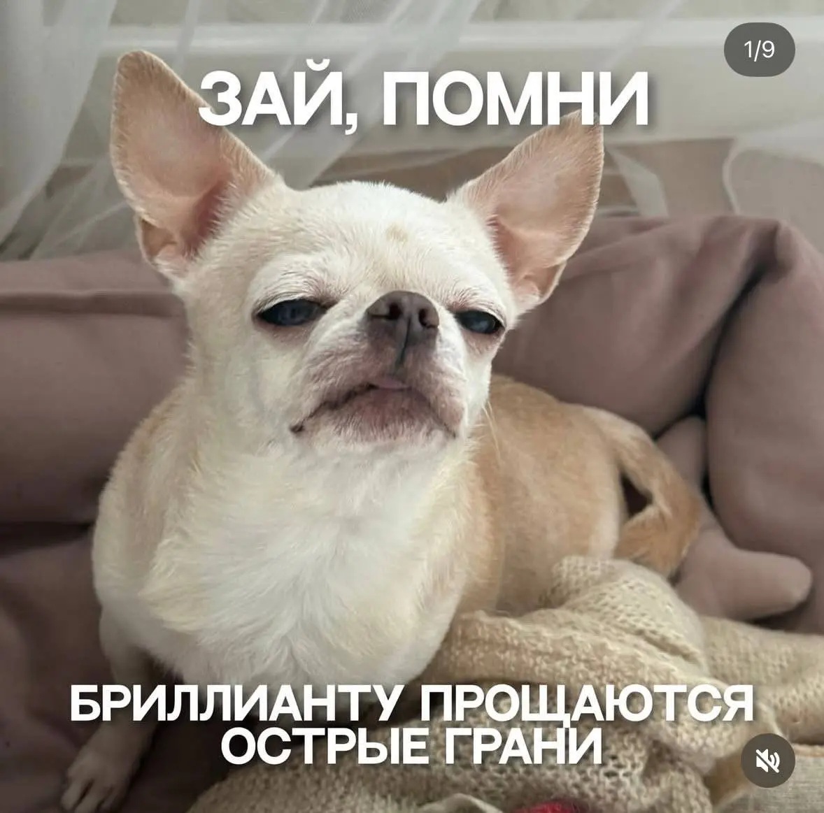 Пятничный мудрый совет | Сетка — социальная сеть от hh.ru