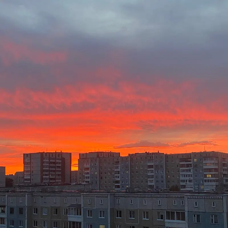 Алина Медова