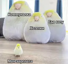Обещанный пост по зарплатам... | Сетка — социальная сеть от hh.ru