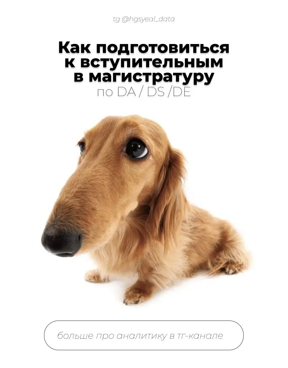 🧑‍🎓 Вы просили — делюсь, как готовиться к вступительным в магистратуру по DA / DS / DE
Я сама закончила на ФКН ВШЭ программу «Магистр по наукам о данных» (сейчас — «Прикладные нейросетевые технологии»... | Сетка — социальная сеть от hh.ru