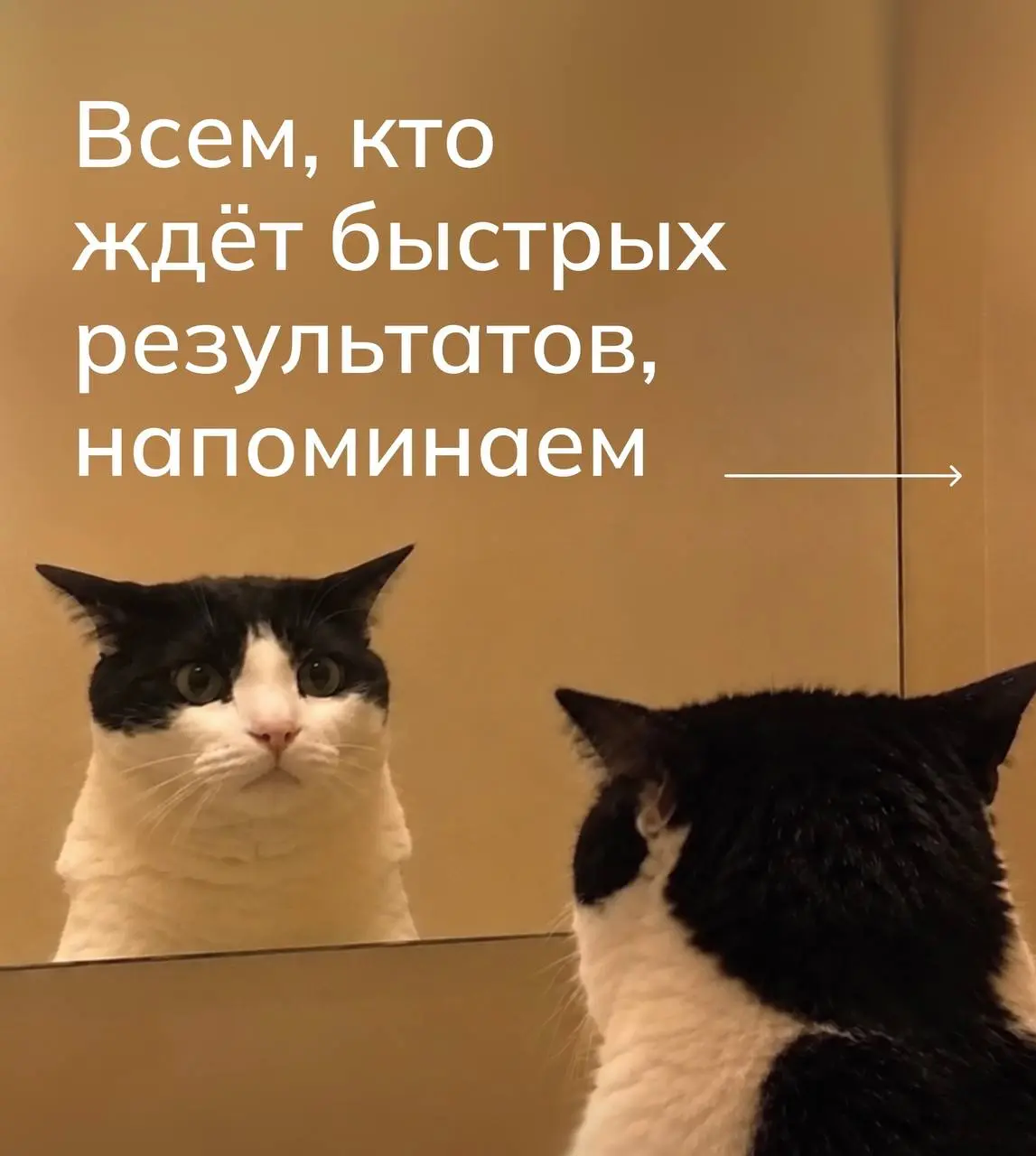 Минутка легкого контента )) | Сетка — социальная сеть от hh.ru