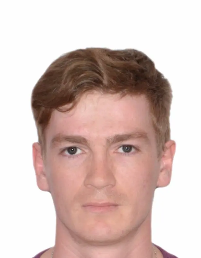 Дмитрий Демичев