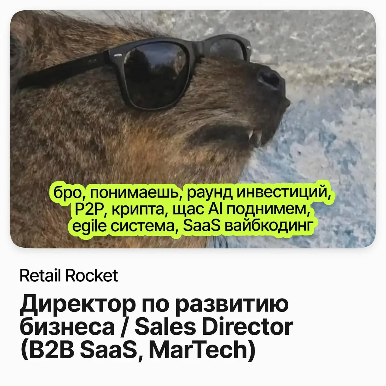 🤵 Директор по развитию бизнеса / Sales Director (B2B SaaS, MarTech) / Retail Rocket
Retail Rocket Group — MarTech-платформа для ритейла: Live CDP, Retail Media, омниканальные коммуникации, рекомендате... | Сетка — социальная сеть от hh.ru