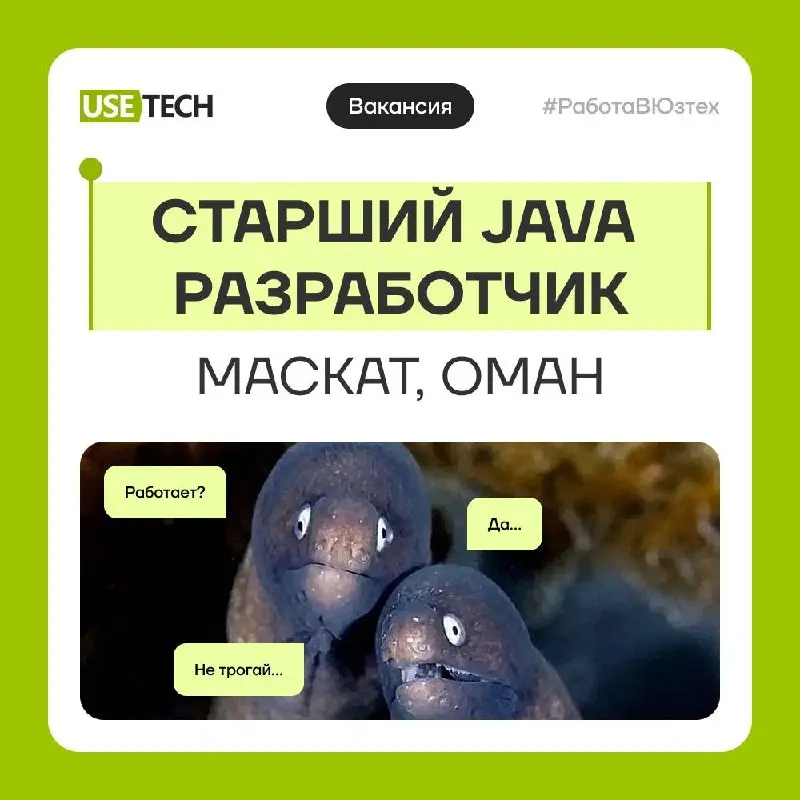 Старший Java разработчик — Маскат, Оман 🌊
Если ты опытный Java-разработчик и давно думал о работе за рубежом — там где море и солнце, возможно, тебя заинтересует наша вакансия | Сетка — социальная сеть от hh.ru