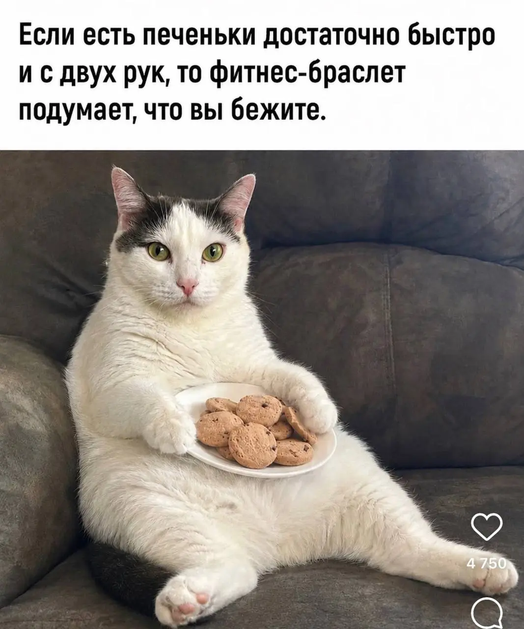 #пятничное
Коротко о планах на выходные.
Всем отличного отдыха. | Сетка — социальная сеть от hh.ru