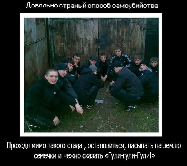 в купчино | Сетка — социальная сеть от hh.ru