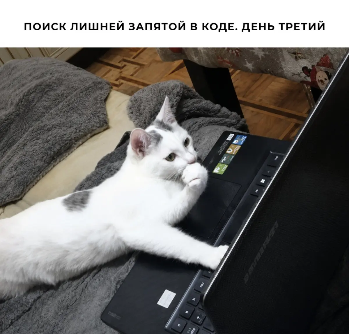 #GTМемотерапия
Вечная боль
#ИТМемы | Сетка — социальная сеть от hh.ru