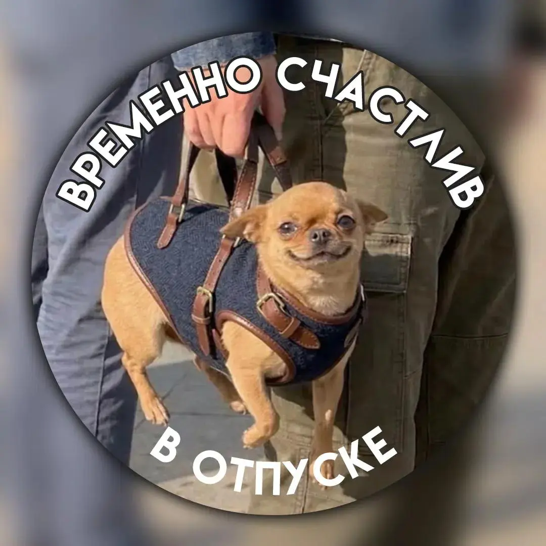 Абонент временно недоступен | Сетка — социальная сеть от hh.ru