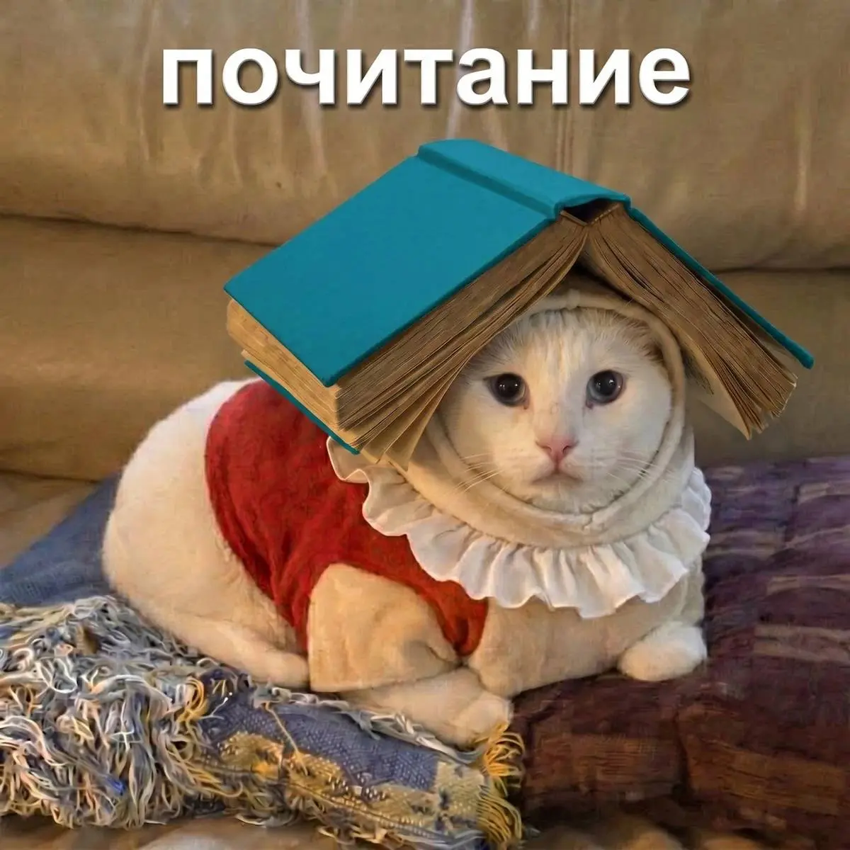 У меня есть 2-3 человека, с которыми мы виделись вживую ровно один раз
И теперь на протяжении долгих лет мы общаемся исключительно мемами
Никаких «привет», «пока», «как дела» или дежурных вопросов про... | Сетка — социальная сеть от hh.ru