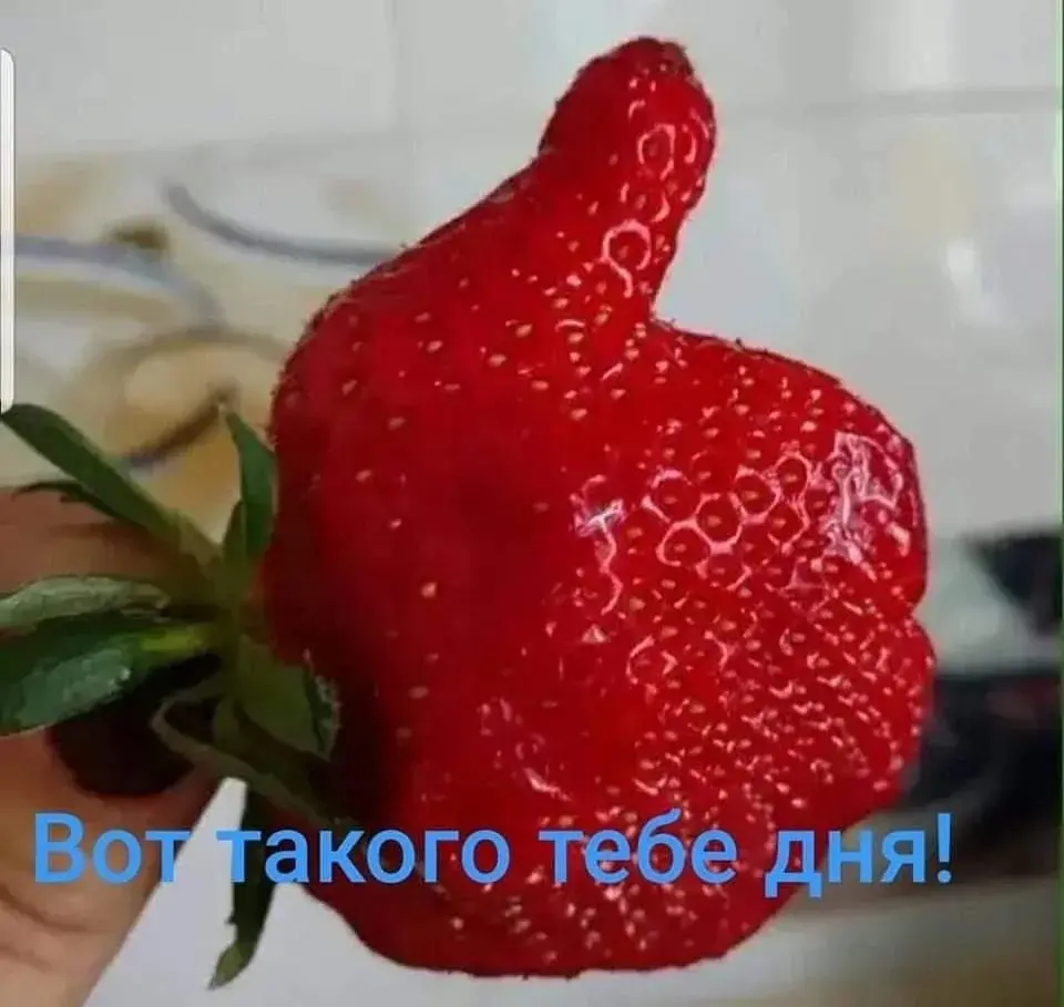 comment image