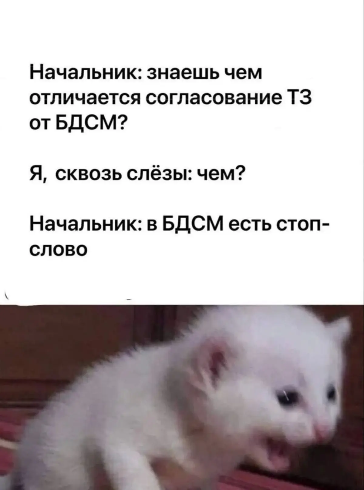Сетка — социальная сеть от hh.ru