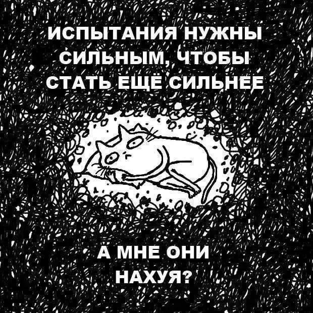🔥 СУББОТНИЕ МЕМЫ
#мемыhr
Меркурий гадит — ретроградный он или что это вообще такое?!
Неделя у меня была знатная: оторви и выбрось, не глядя.
⚡ Сгорела микроволновка.
🔥 Потом нагреватель | Сетка — социальная сеть от hh.ru
