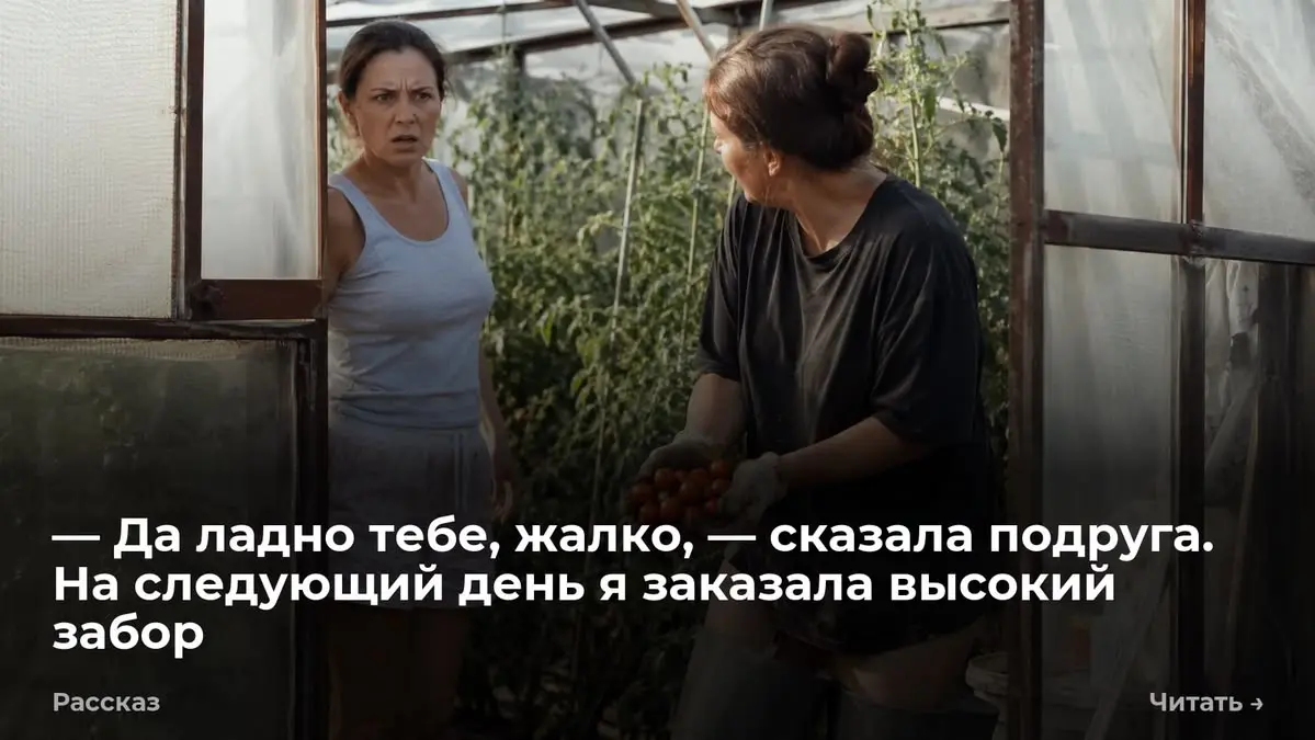 — Да ладно тебе, жалко, — сказала подруга. На следующий день я заказала высокий забор
На крыльце стояли три желтых ведра. Полные крупной клубники сорта «Виктория» | Сетка — социальная сеть от hh.ru