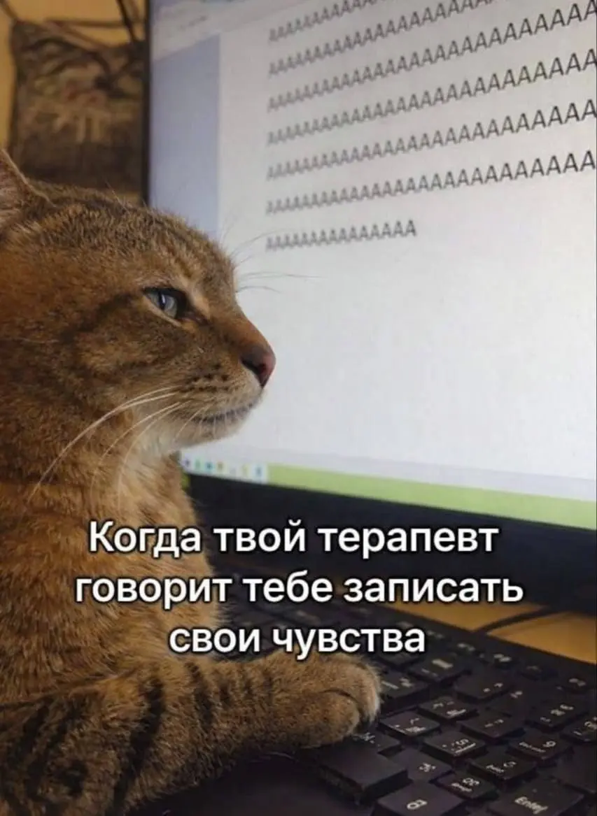 Самое точное описание 😂
БЛОГ В ТГ / БЛОГ В MAX
#Юмор #Коты
В этом посте были ссылки, но мы их удалили по правилам Сетки | Сетка — социальная сеть от hh.ru
