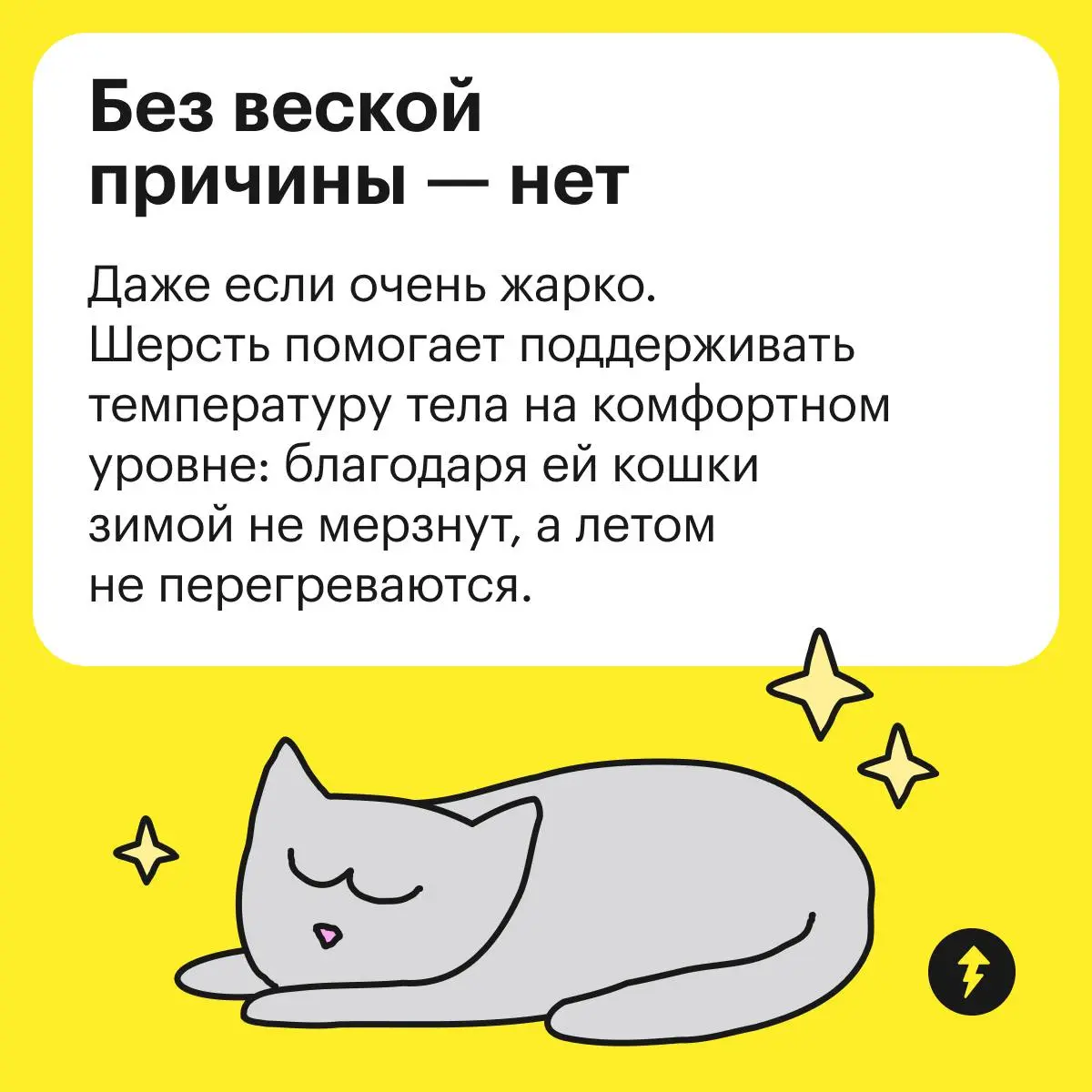 Эксперты подтверждают: «Лучше дайте котикам рыбов» | Сетка — социальная сеть от hh.ru