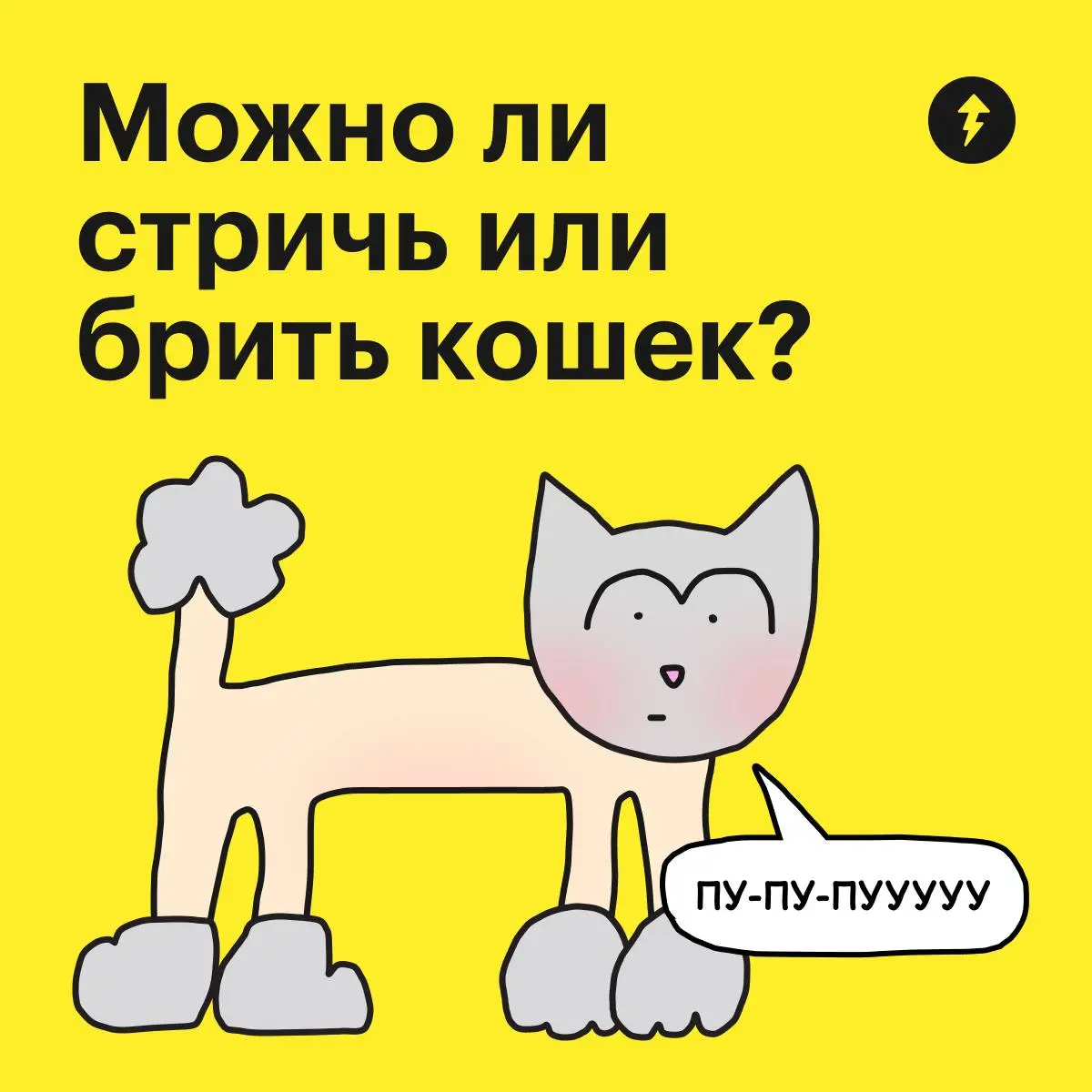 Эксперты подтверждают: «Лучше дайте котикам рыбов» | Сетка — социальная сеть от hh.ru