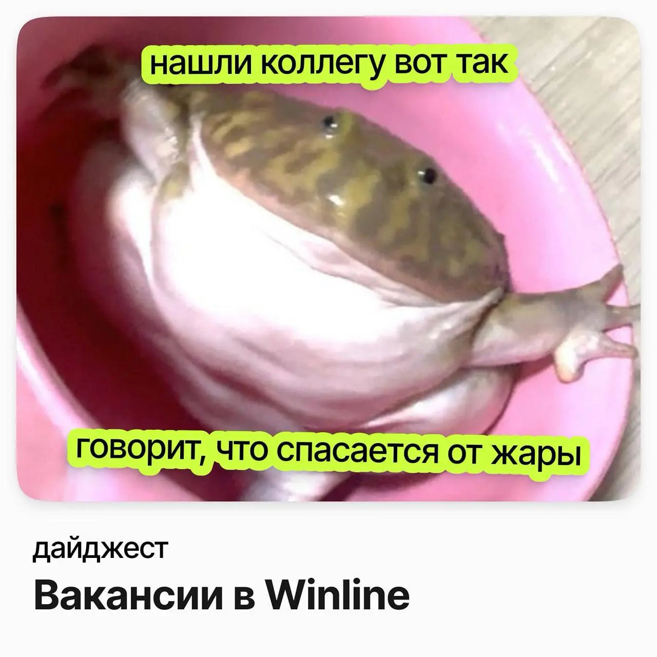 💼💼💼Вакансии в WINLINE
WINLINE — одна из ведущих букмекерских компаний России, формирующая стандарты индустрии | Сетка — социальная сеть от hh.ru