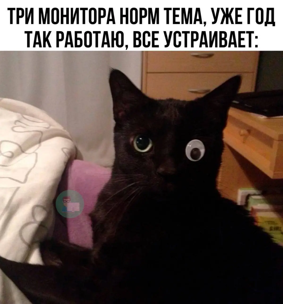 Улыбнуло | Сетка — социальная сеть от hh.ru