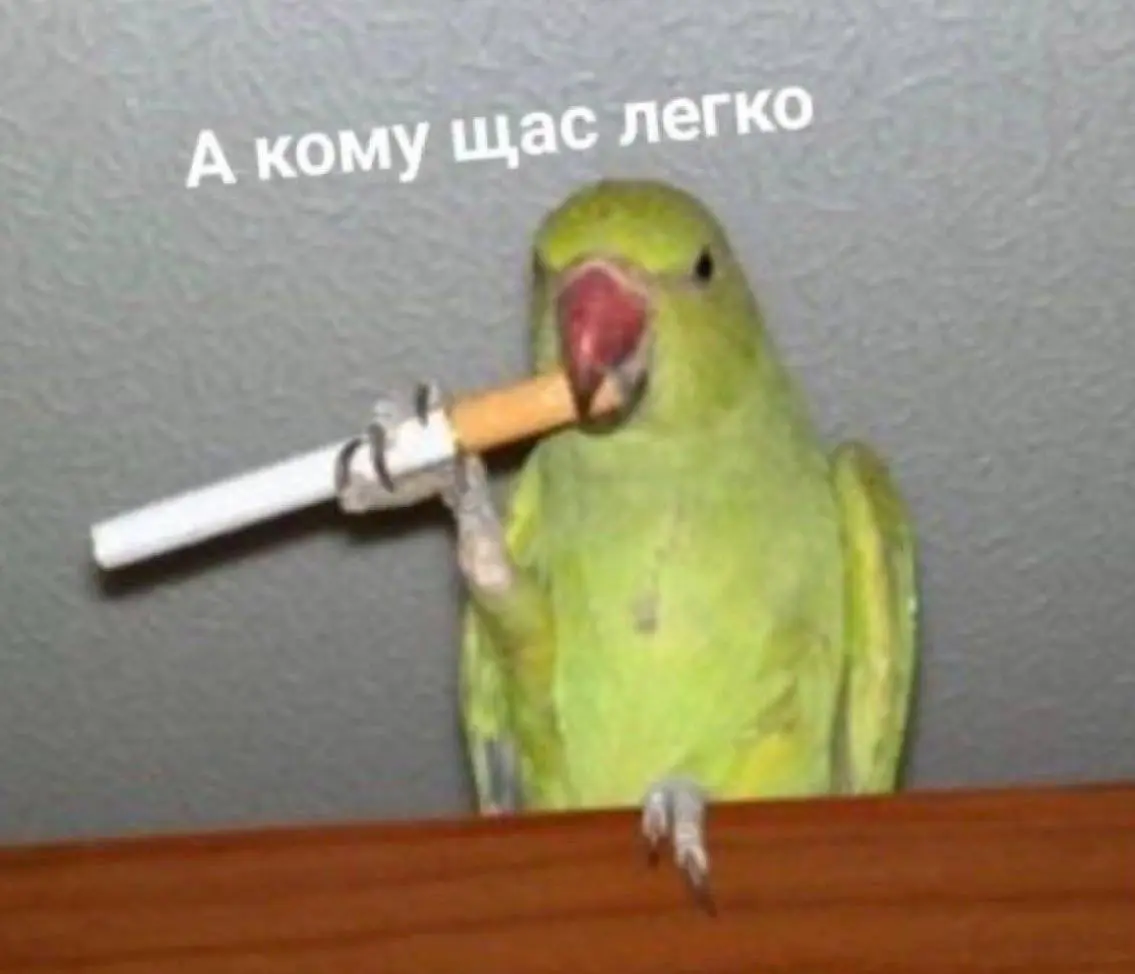 Первый, и, надеюсь, не последний пост😀 | Сетка — социальная сеть от hh.ru
