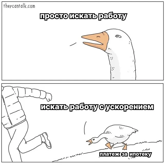Ищу работу маркетологом, день 5 | Сетка — социальная сеть от hh.ru