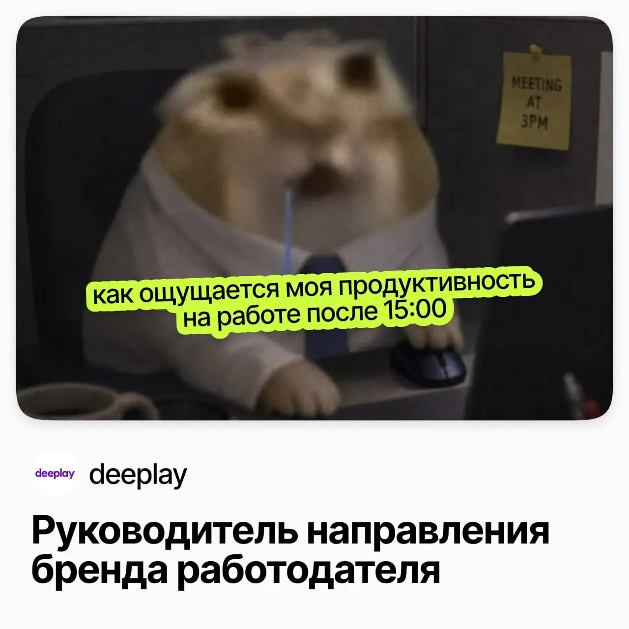 🧭 Руководитель направления бренда работодателя / deeplay (удалёнка)
deeplay — продуктовая IT-компания, которая создаёт системы и решения в сфере интеллектуальных игр | Сетка — социальная сеть от hh.ru