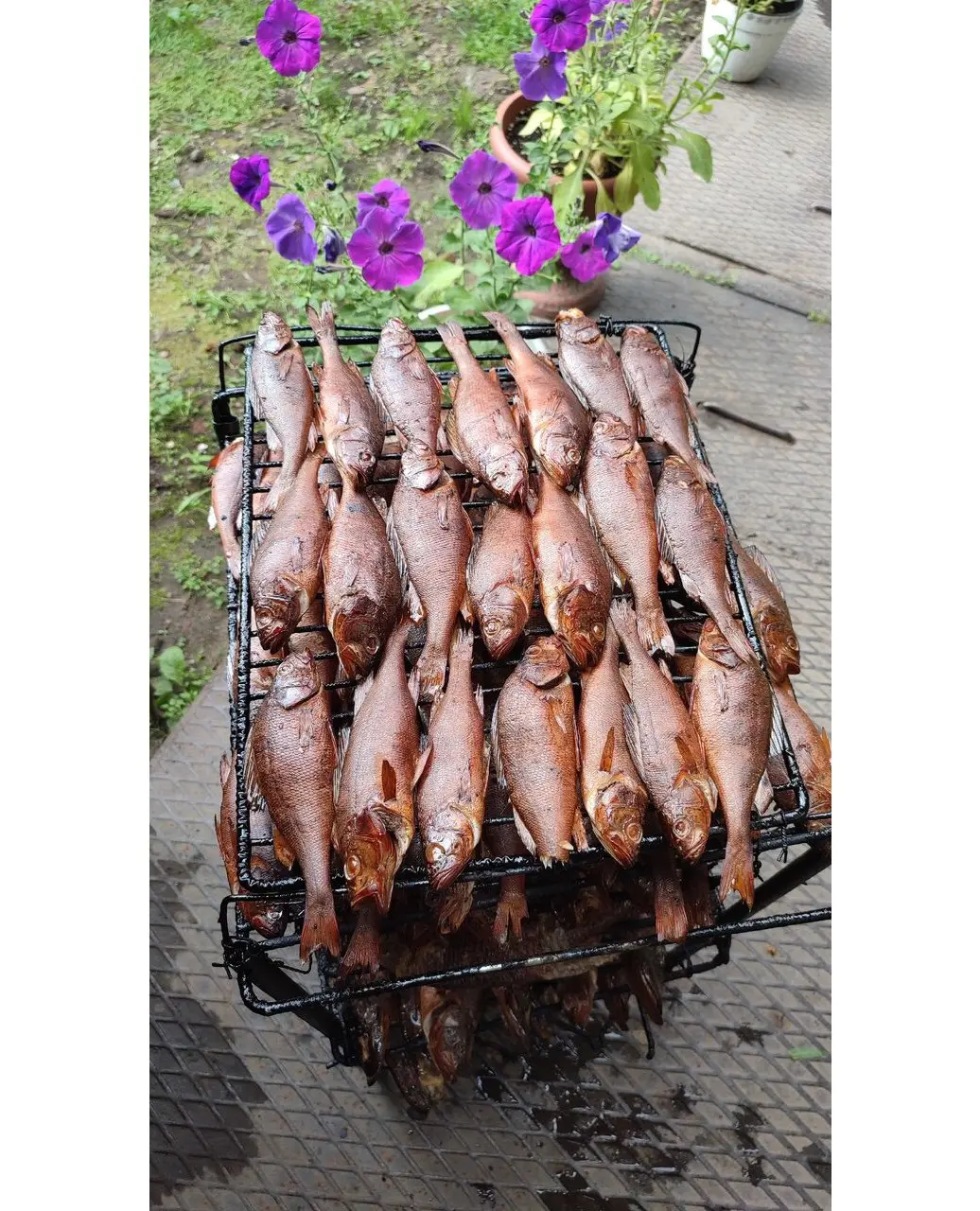 Сегодня выходной, поэтому чуть вкусной рыбки в ленту ;)
Накормил своих, все довольны, сказали лови, копти ещё :))
Придётся выполнять :))
Рыбниковы рыбу любят :))
Да и мне удовольствие ;)
Всем хороших ... | Сетка — социальная сеть от hh.ru
