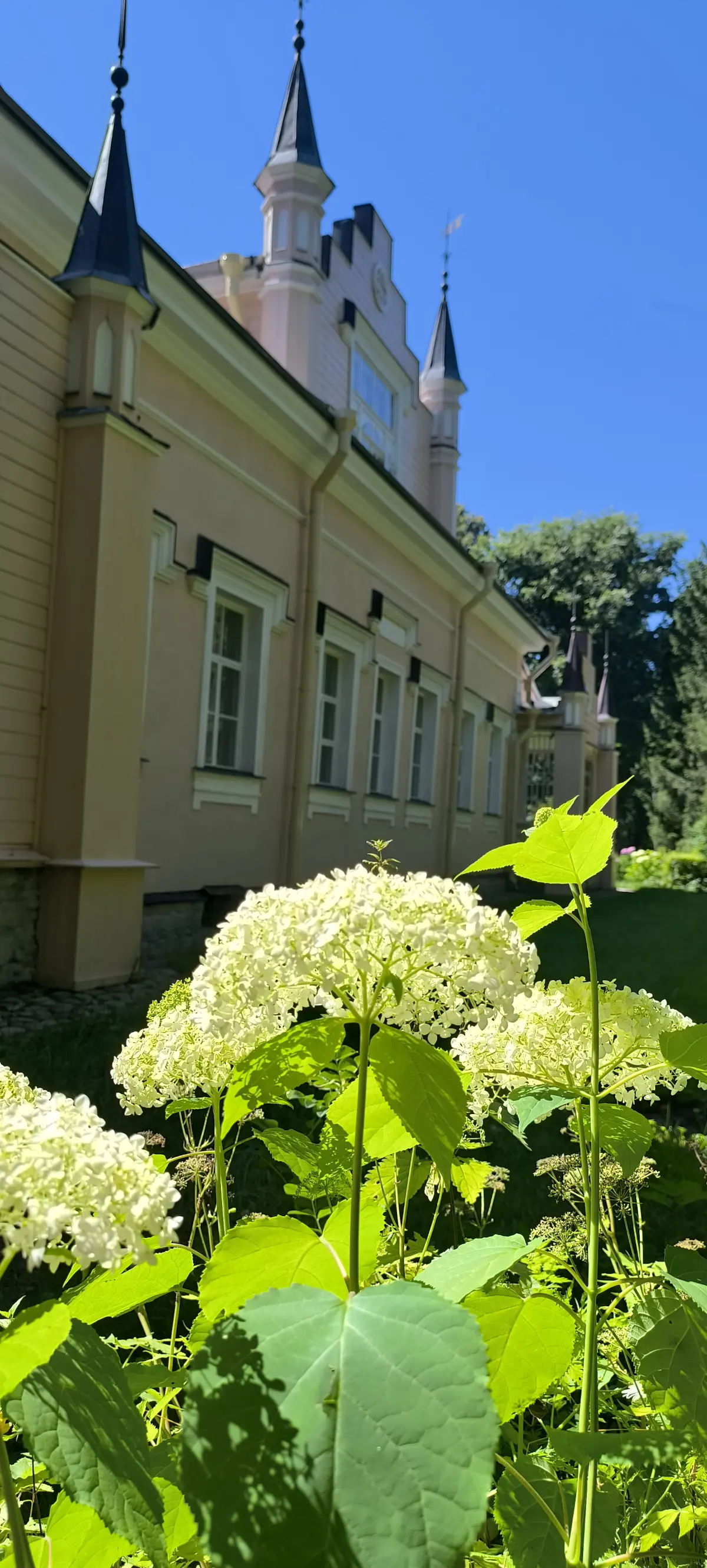 Воскресенье без футбола или как я выбрала сено вместо гола | Сетка — социальная сеть от hh.ru