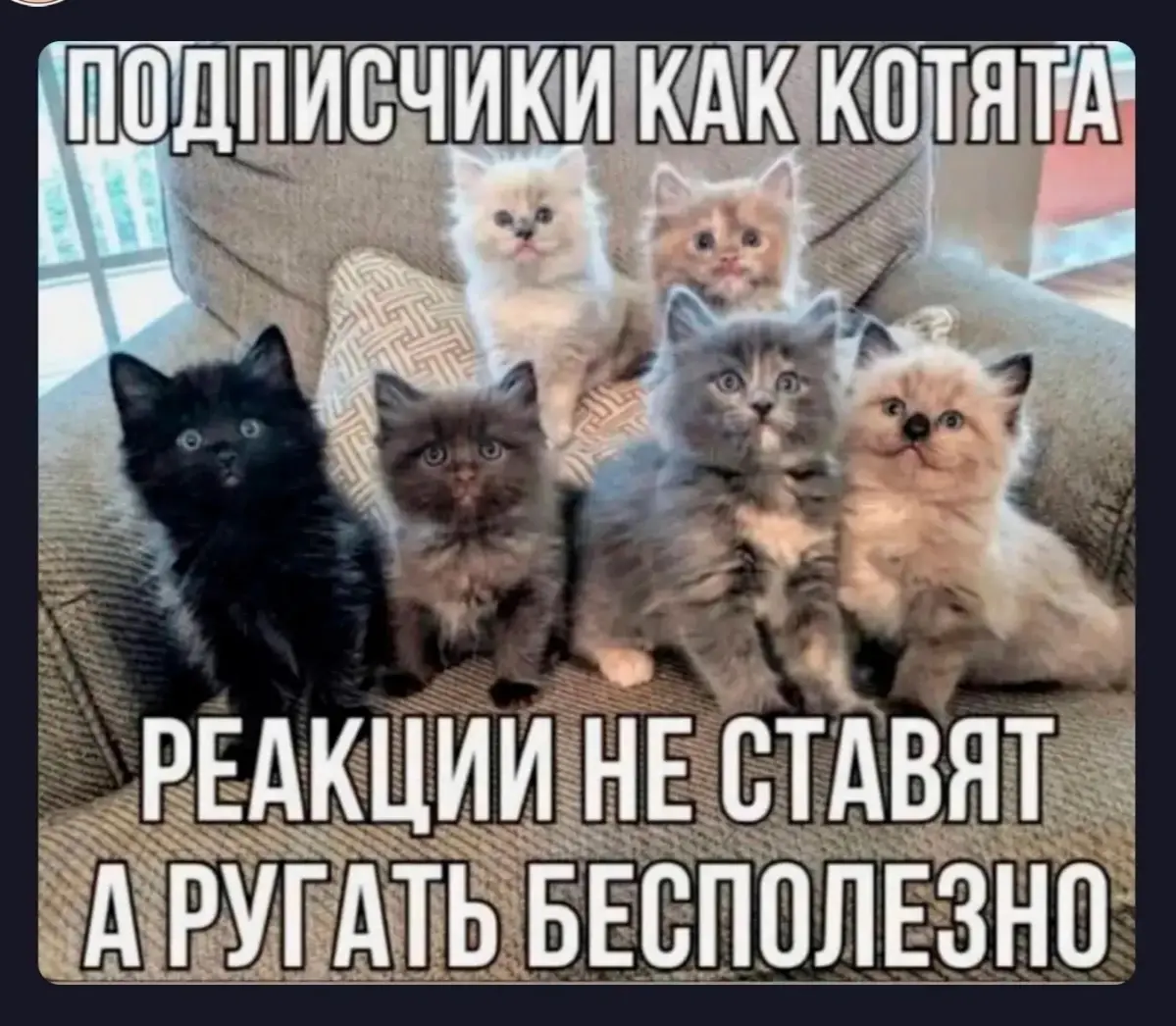 Где мои новые подписчики👣? Старые уже разочаровались😆 | Сетка — социальная сеть от hh.ru