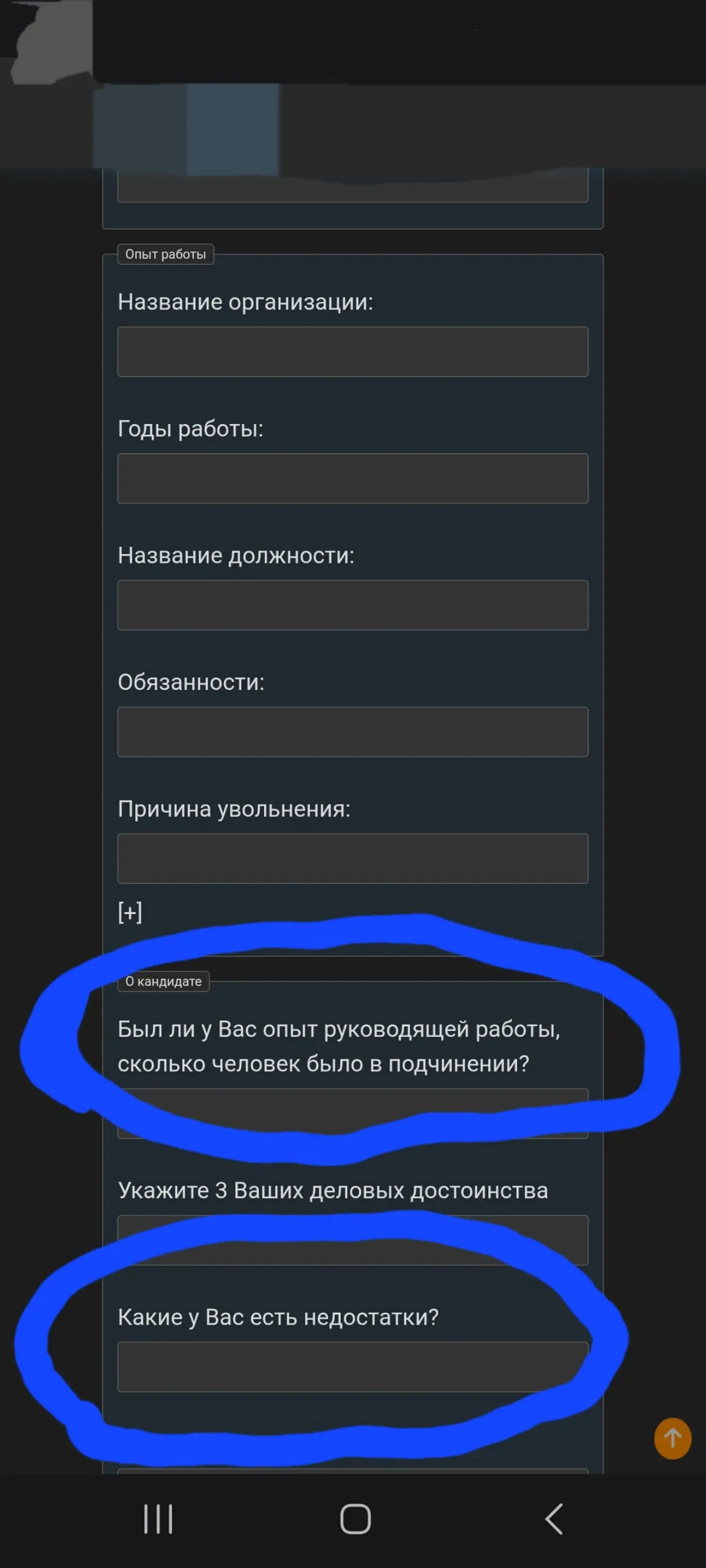 Заполнение анкеты по ссылке, тупые вопросы... | Сетка — социальная сеть от hh.ru