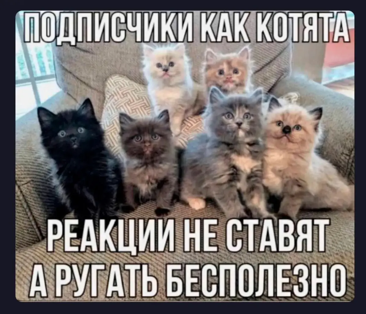 Неужели 🧐английский больше не популярен?
🎯 Взрослым для бизнеса и общения.
🎯Вашим детям для успехов школе.
🎯Учителям для прокачки навыков.
Канал в сетке https://set.ki/channel/GeLAMay
Mac-profi.online | Сетка — социальная сеть от hh.ru