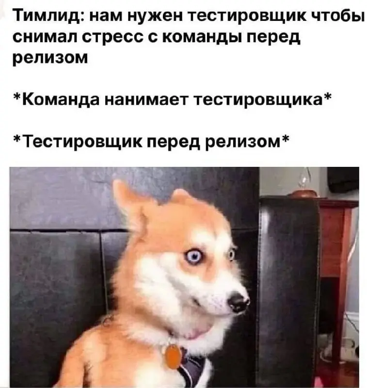 Заряжаем на отпуск. Подписывайся 😎 | Сетка — социальная сеть от hh.ru
