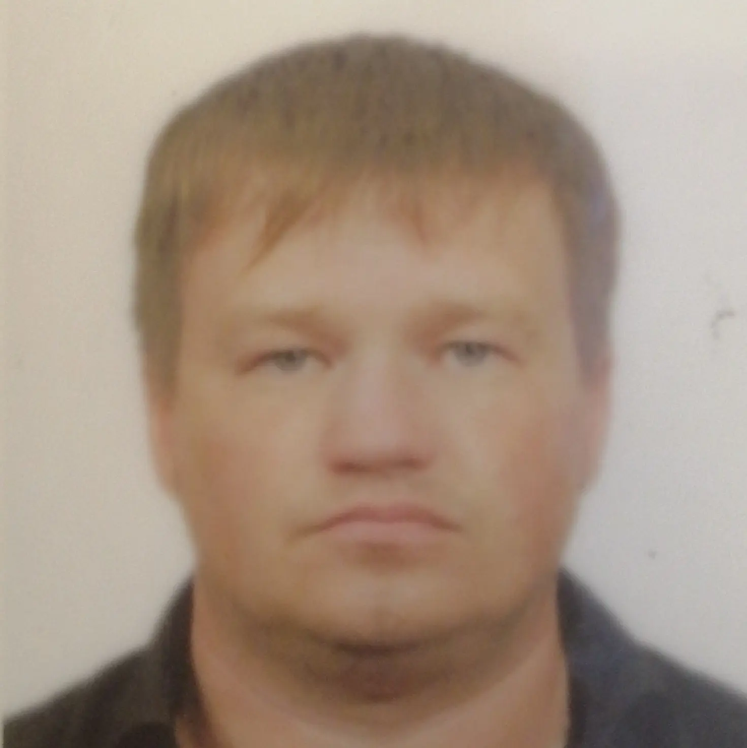 Дмитрий Михайлов