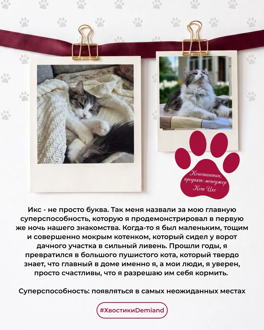 Лучший антистресс в нашей команде – это... | Сетка — социальная сеть от hh.ru