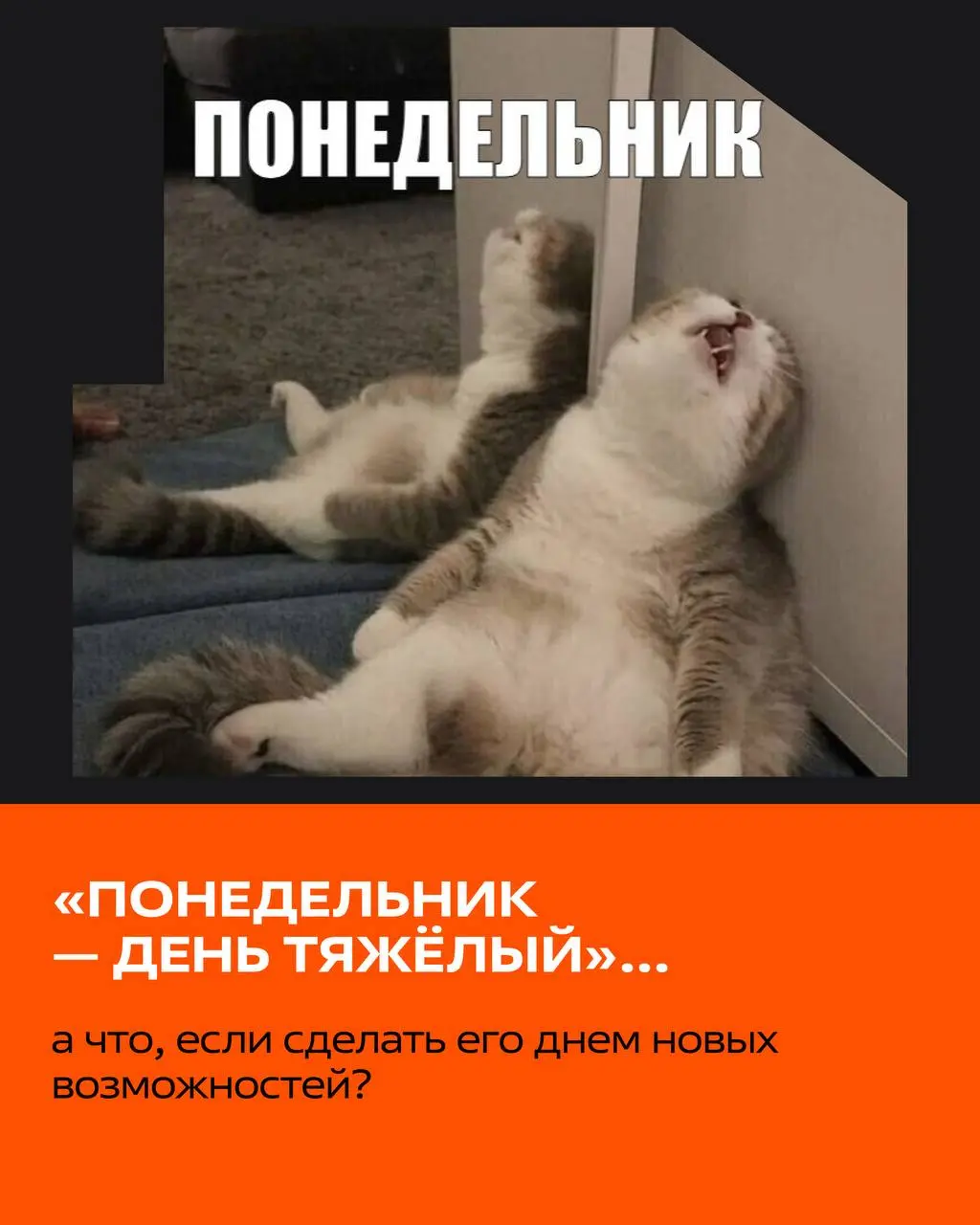 😴 «Понедельник — день тяжёлый»…
А что, если сделать его днем новых возможностей?
Если давно задумывались о смене работы или просто присматриваетесь к интересным предложениям - самое время заглянуть в ... | Сетка — социальная сеть от hh.ru